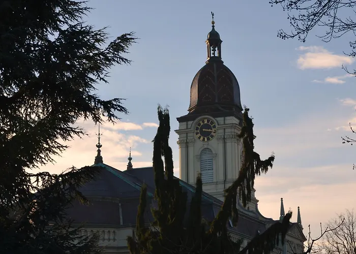 Nocleg ze śniadaniem Chez Fanfan Morges